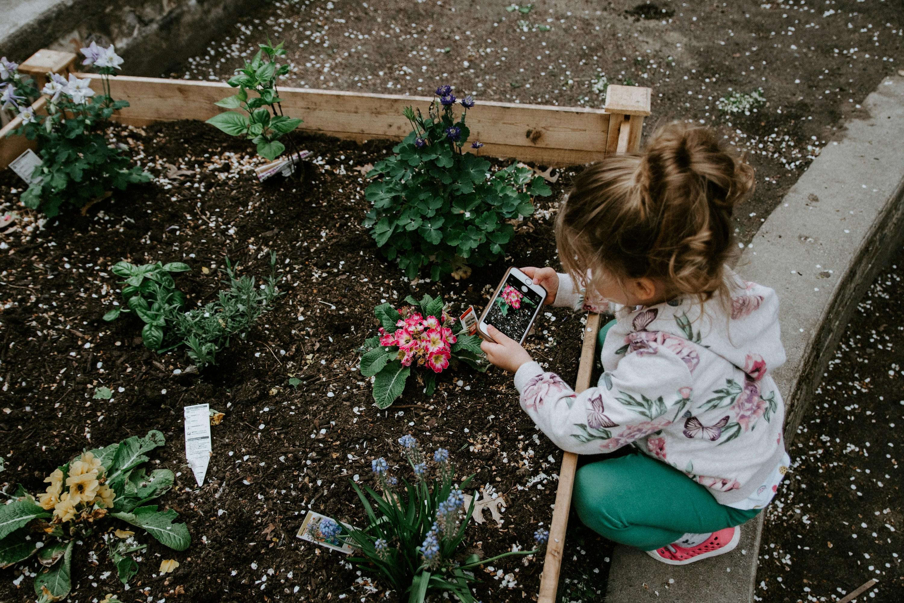 The Benefits of School Gardens and Nature Programs in the UAE – Schoolio Blog Article